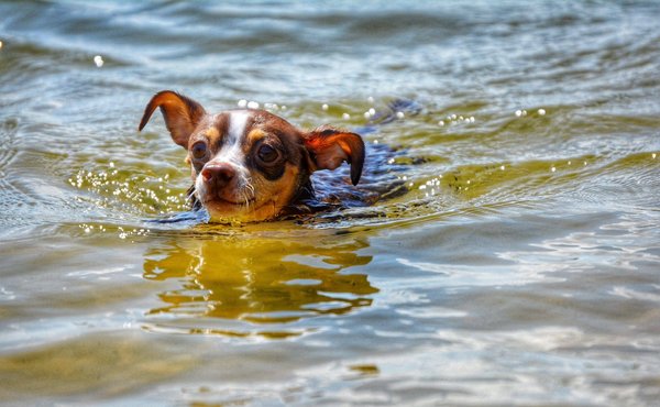 Quels sont les produits de maquillage essentiels pour les débutants ?